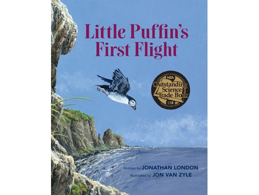 Little Puffin's First Flight