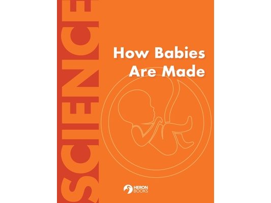 How Babies Are Made
