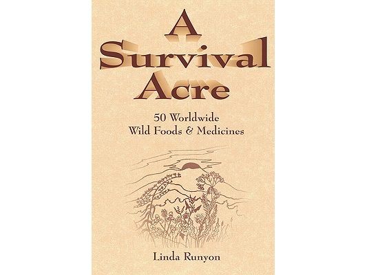 A Survival Acre