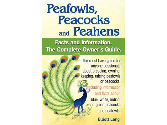 Peafowls, Peacocks and Peahens. Including Facts and Information about Blue, White, Indian and Green Peacocks. Breeding, Owning, Keeping and Raising Pe