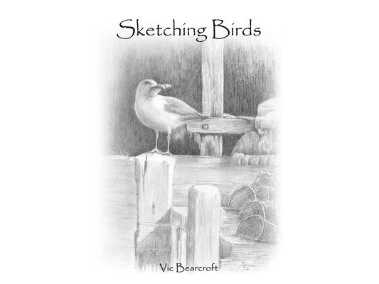 Sketching Birds