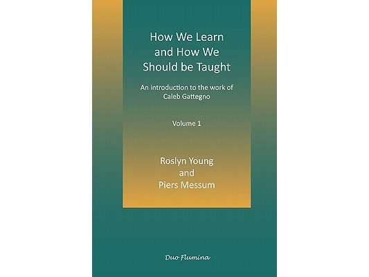 How We Learn and How We Should Be Taught
