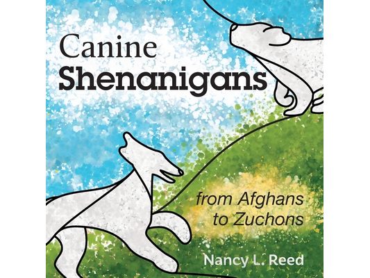 Canine Shenanigans: from Afghans to Zuchons