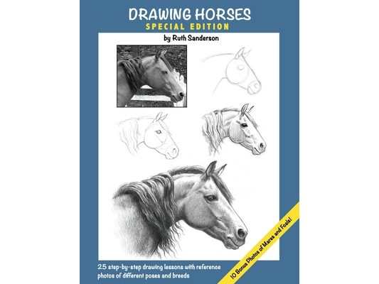 Drawing Horses: Special Edition