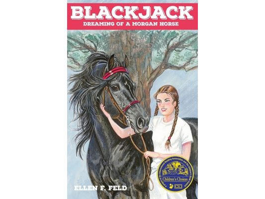 Blackjack: Dreaming of a Morgan Horse