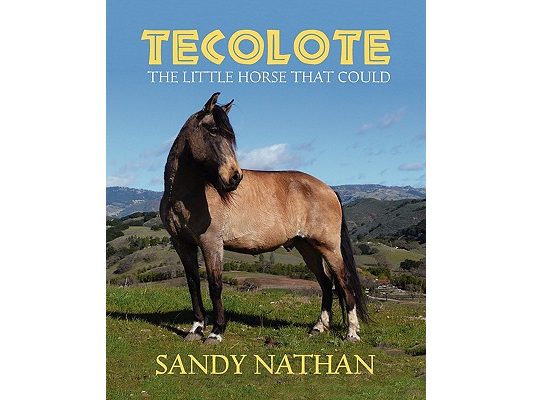 Tecolote: The Little Horse That Could