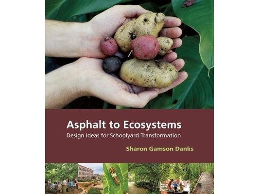 Asphalt to Ecosystems: Design Ideas for Schoolyard Transformation