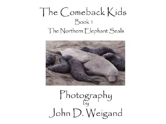 "The Comeback Kids" Book 1, The Northern Elephant Seals