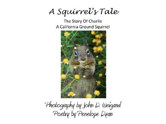 A Squirrel's tale, The Story Of Charlie, A California Ground Squirrel