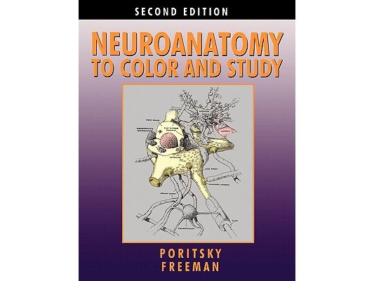 Neuroanatomy to Color and Study