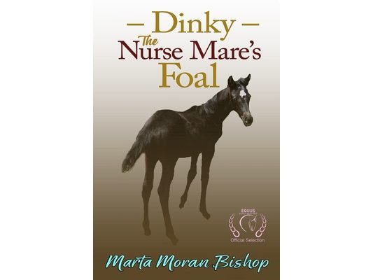 Dinky: The Nurse Mare's Foal