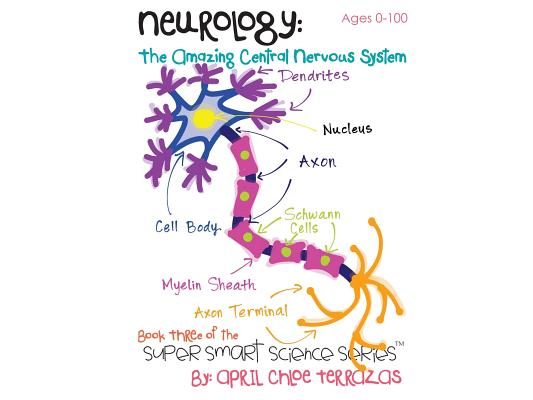Neurology: The Amazing Central Nervous System
