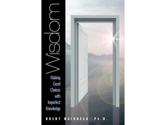 Wisdom: Making Good Choices with Imperfect Knowledge