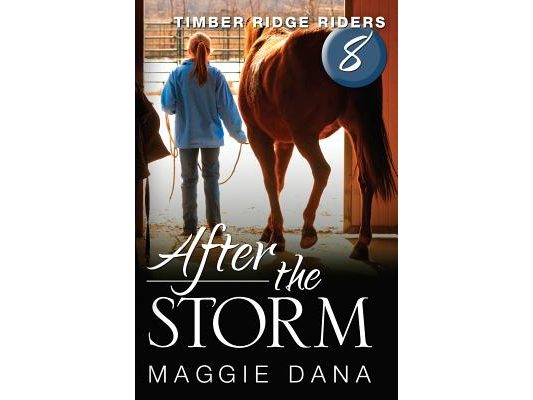 After the Storm