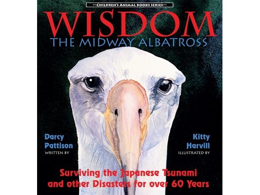 Wisdom, the Midway Albatross: Surviving the Japanese Tsunami and Other Disasters for Over 60 Years