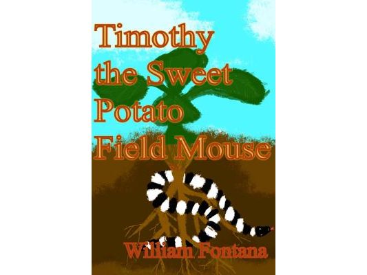 Timothy the Sweet Potato Field Mouse