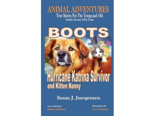 Boots: Hurricane Katrina Survivor and Kitten Nanny