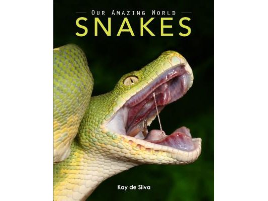 Snakes: Amazing Pictures & Fun Facts on Animals in Nature