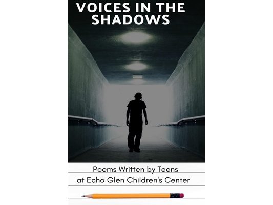 Voice In The Shadows