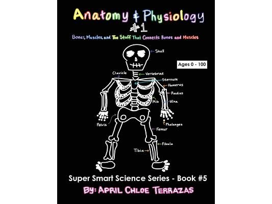 Anatomy & Physiology Part 1: Bones, Muscles, and the Stuff That Connects Bones and Muscles