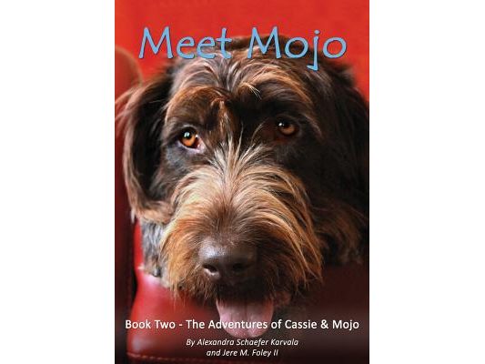 Meet Mojo