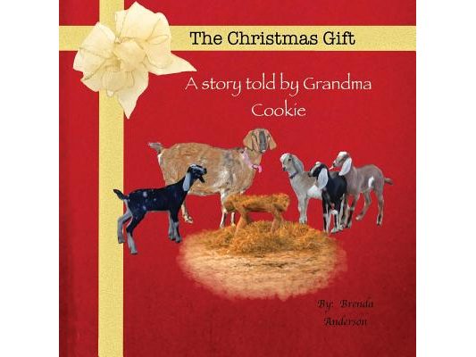 The Christmas Gift: A story told by Grandma Cookie