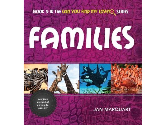 Families: Book 5 in the Can You find My Love? Series