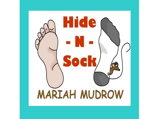 Hide-N-Sock