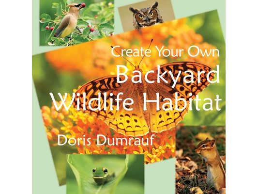 Create Your Own Backyard Wildlife Habitat