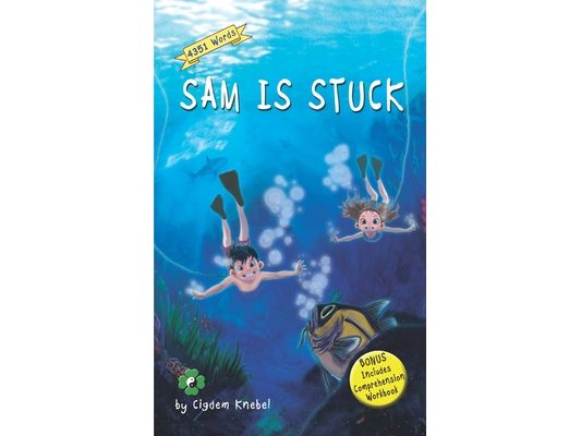 Sam Is Stuck: Decodable Chapter Book