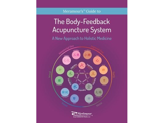 The Body-Feedback Acupuncture System: A New Approach to Holistic Medicine