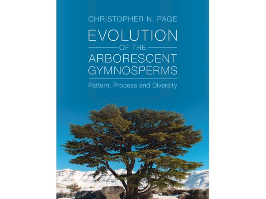 Evolution of the Arborescent Gymnosperms 2 Volume Hardback Set: Pattern, Process and Diversity