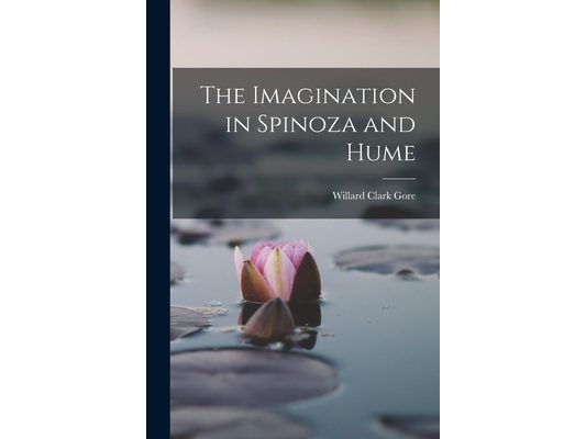 The Imagination in Spinoza and Hume