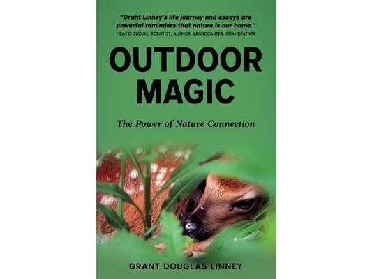 Outdoor Magic: The Power of Nature Connection