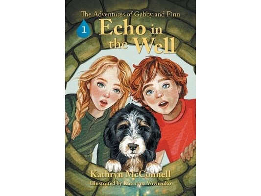 Echo in the Well