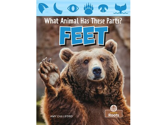 Feet