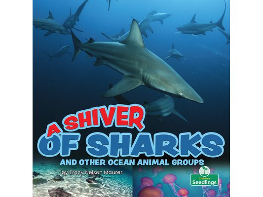 A Shiver of Sharks and Other Ocean Animal Groups