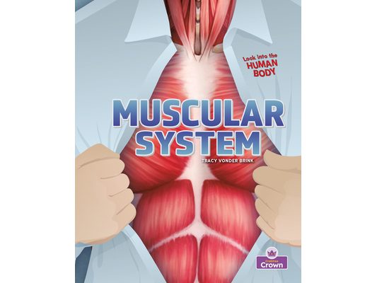 Muscular System