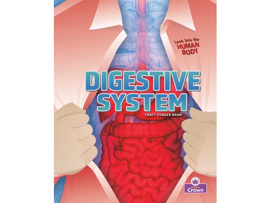 Digestive System