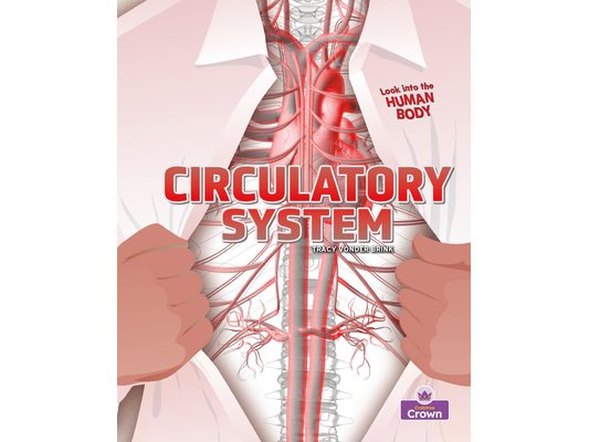 Circulatory System