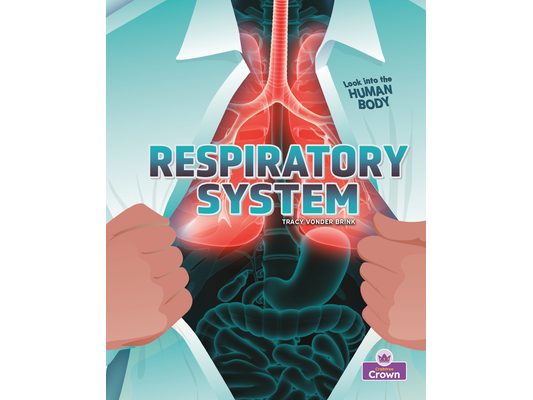 Respiratory System