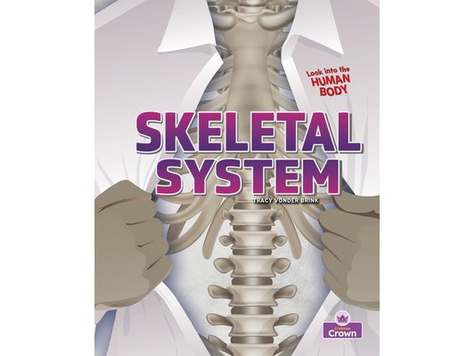 Skeletal System