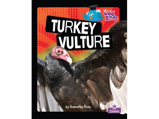 Turkey Vulture