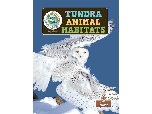 Tundra Animal Habitats