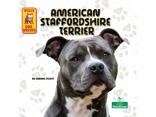 American Staffordshire Terrier