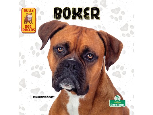Boxer