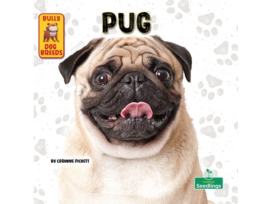 Pug