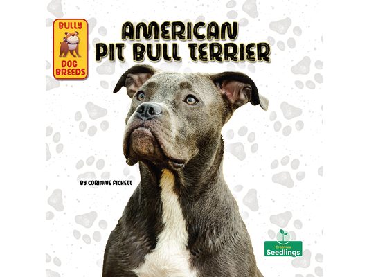 American Pit Bull Terrier