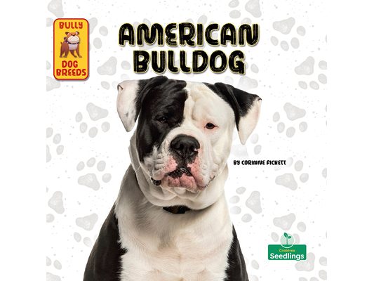 American Bulldog