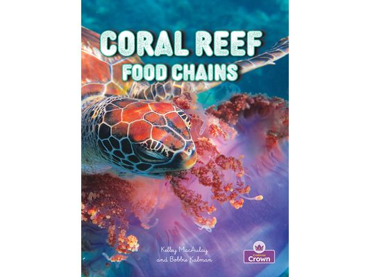 Coral Reef Food Chains